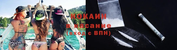 шишки Наволоки