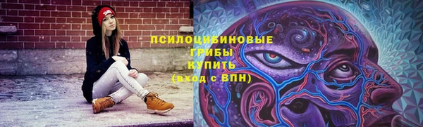 шишки Михайловка