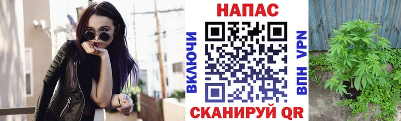 где можно купить   это клад  Канабис Amnesia  Щёлкино  ссылка на мегу ONION 